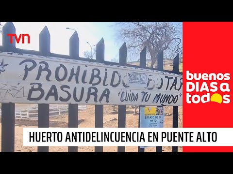 Huerto antidelincuencia es afectado por fiestas e incivilidades en Puente Alto