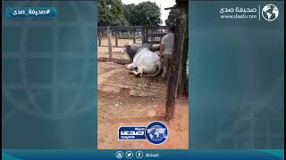 يدور للمشاكل بنفسه