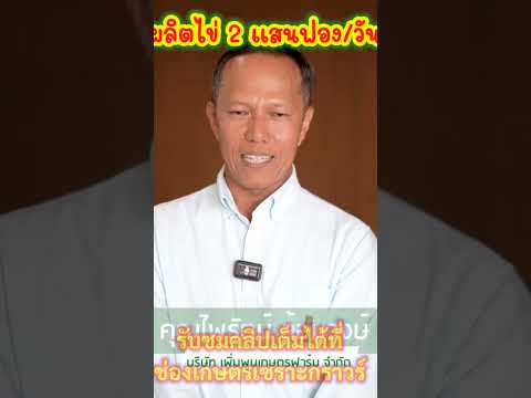 ผลิตไข่ยังไงวันละ2แสนฟองฟาร