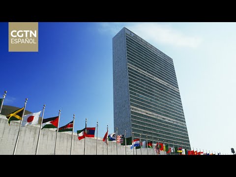 Consejo de Seguridad se prepara para votar sobre la inclusión de Palestina como miembro de la ONU