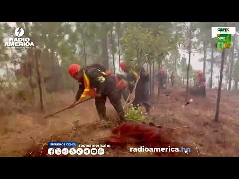 Este jueves continuaba el combate a incendio forestal en Guaimaca