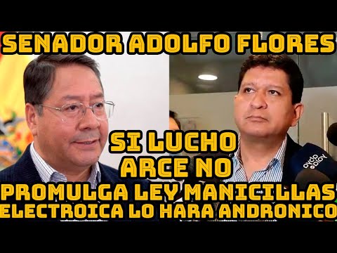 SENADOR FLORES SI LUCHO ARCE NO PROMULGA LEYES LO REALIZARA PRESIDENTE SENADOR ANDRONICO RODRIGUEZ