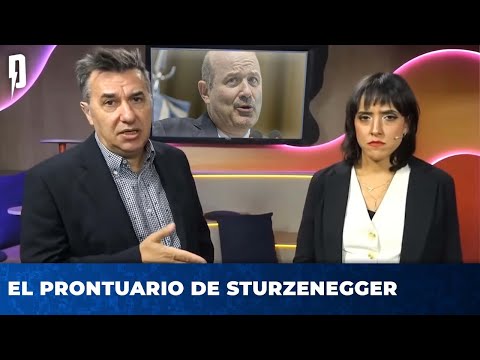 EL PRONTUARIO DE STURZENEGGER