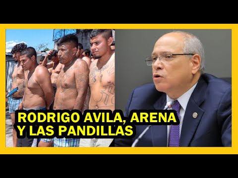 Arena, Rodrigo Ávila y el tema de Estado de Excepción | Presidente pide mas decretos