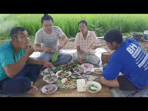 หยุดกินไม่ได้เลยเมนู-พันเมี่ยง หยุดกินไม่ได้เลยเมนู-พันเมี่ยง