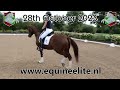 حصان الفروسية Equine Elite 2023 - Magic
