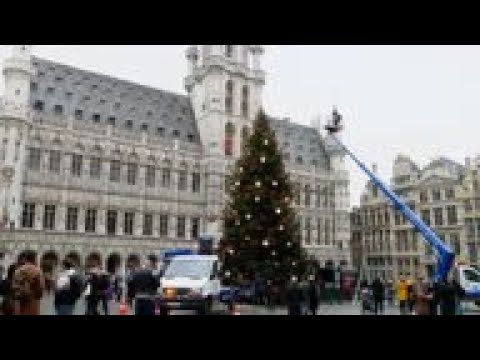 18-metre-high Christmas tree goes up in Brussels