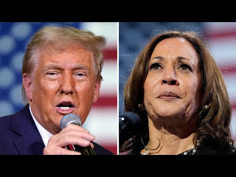 Trump, Harris target key battleground state of Michigan with only ten days until U.S. election