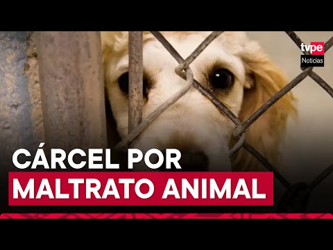¿Cuáles son las penas por maltrato animal en el Perú?