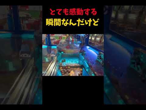 感動の瞬間