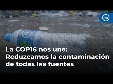 La COP16 nos une: Reduzcamos la contaminación de todas las fuentes