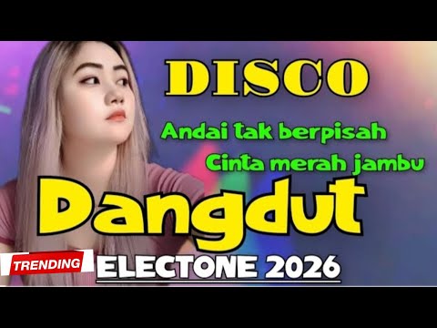 Disco dangdut wakatobi || if not separated - pink love || trending 2025