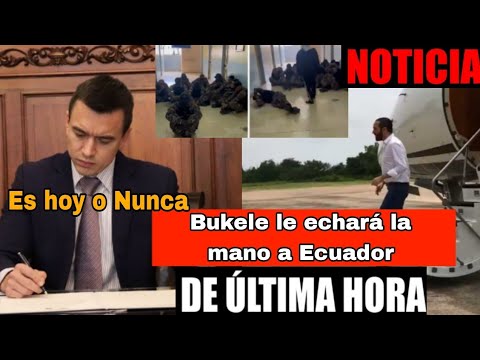Última Hora: Nayib Bukele viajará a Ecuador para reunirse con Noboa para acabar con el terrorismo