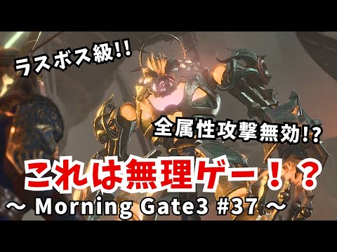 【ゆっくり実況】【バルダーズゲート３】Morning Gate3 #37
