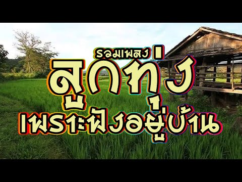 รวมเพลงลูกทุ่งเพราะๆฟังอยู่บ้า รวมเพลงลูกทุ่งเพราะๆฟังอยู่บ้า