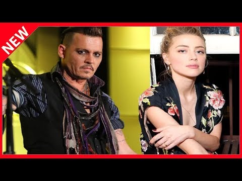 ?  Un test ADN pour les yorkshires : jusqu’où ira la guerre Johnny Depp vs Amber Heard?