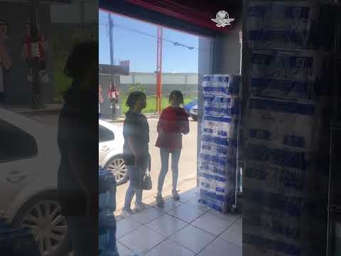 Este Costquito conquistó a “San Pancho” del Rincón, Guanajuato