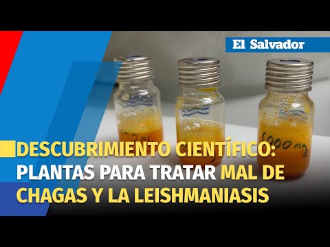 Descubrimiento Científico: Nuevas Plantas para Curar el Mal de Chagas y la Leishmaniasis