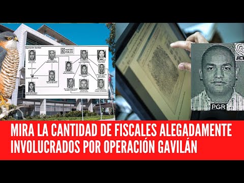 MIRA LA CANTIDAD DE FISCALES ALEGADAMENTE INVOLUCRADOS POR OPERACIÓN GAVILÁN