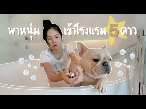 พาลูกไปนอนโรงแรม5ดาวครั้งแรก-| พาลูกไปนอนโรงแรม5ดาวครั้งแรก-|