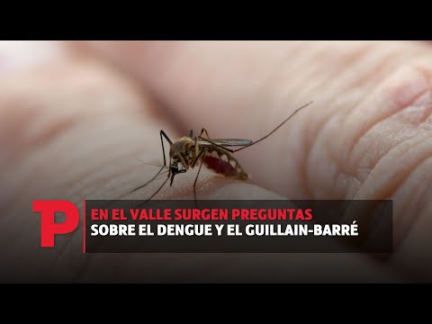 En el Valle surgen preguntas sobre el Dengue y el Guillain-Barré | 16.07.2023 | TP Noticias