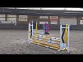 Show jumping horse 6 jarige goed springende merrie