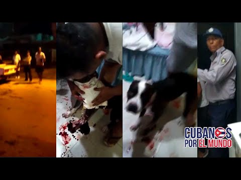 Policía en Cuba entra ilegal a una vivienda, y acaba de con vida de un perro con dos disparos