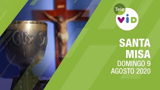 Misa de hoy ? Domingo 9 de Agosto de 2020, Padre Esteban Cañola MXY - Tele VID