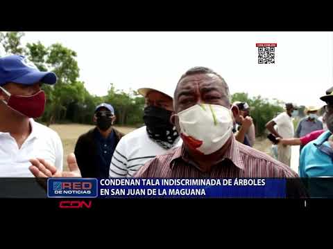 Condenan tala indiscriminada de árboles en San Juan de la Maguana