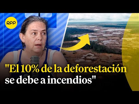 ¿Es posible que Perú sufra incendios forestales como lo ocurrido en Chile?