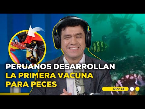 Siempre en Casa: desarrollan la primera vacuna para peces, Miriam Cruz está de regreso, y más