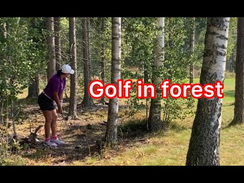 Forestdaysingolf😅Lakisto