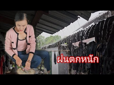 ฝนตกหนักไปใสบ่ได้สปปลาว🇱🇦