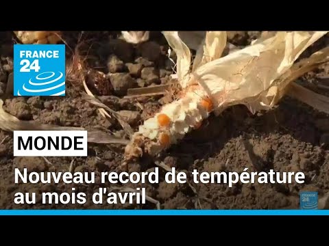 Climat : la planète a encore battu des records de températures au mois d'avril • FRANCE 24