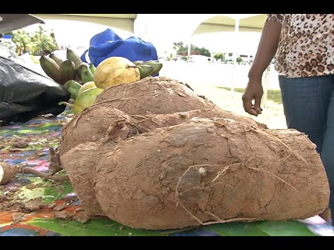 First Farmers' And Producers' Fair In Lopinot/Bon Air West A Success