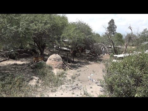 Presunta invasión para habilitar corrales en Arroyo de las Vírgenes, advierten vecinos