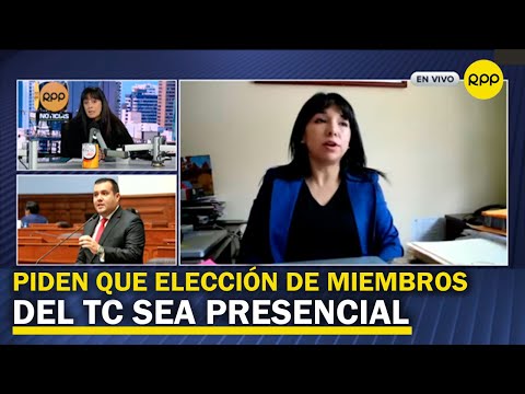 Salinas: “ Para asegurar la votación los de los magistrados del TC se necesita presencialidad”