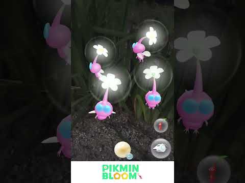 POV: you’re out with your friends on a summer night chasing… fireflies? ✨🩷