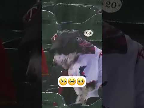 무더위가 아직 끝나지 않았네요