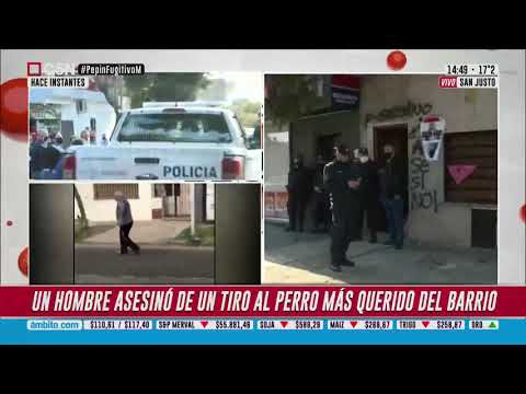 Horror en San Justo: Un vecino mató a tiros a un perro en la vereda