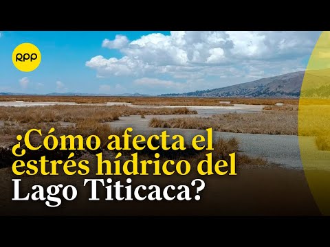 Estrés hídrico del lago Titicaca pone en riesgo la agricultura y ganadería en Puno