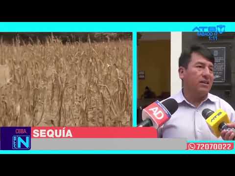 Sequía pone en riesgo la producción de maíz en el municipio de Arbieto