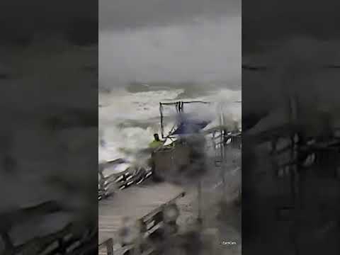 Trump supporter braves deadly Hurricane Milton to plant flag