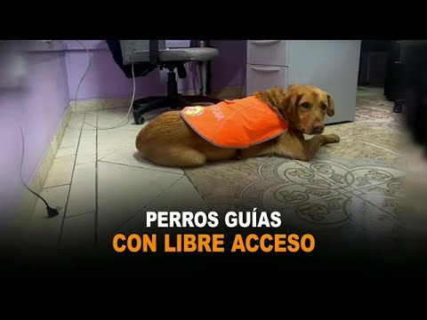 Joven con discapacidad visual denuncia discriminación hacia su perro guía