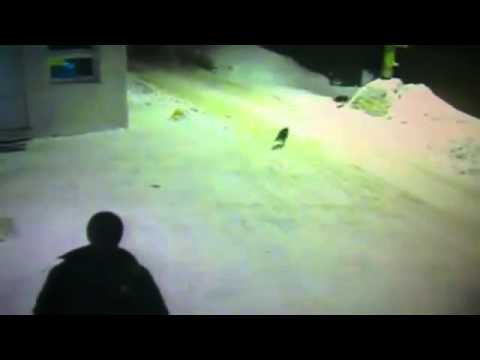 Video: Ė žmogau kur chebra nubėgo? - 