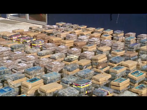 Decomisan 1,915 paquetes de cocaína en las últimas horas