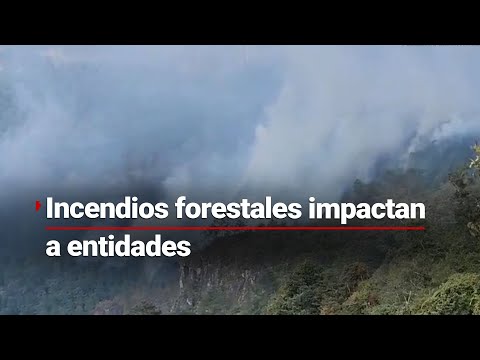 #Puebla | Incendios forestales consumen hectáreas del cerro de Necaxatepétl; brigadistas sufren