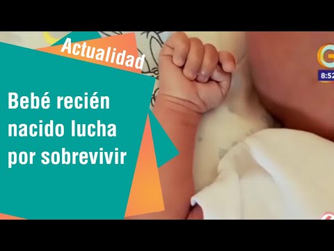 Bebé recién nacido lucha por sobrevivir | Actualidad