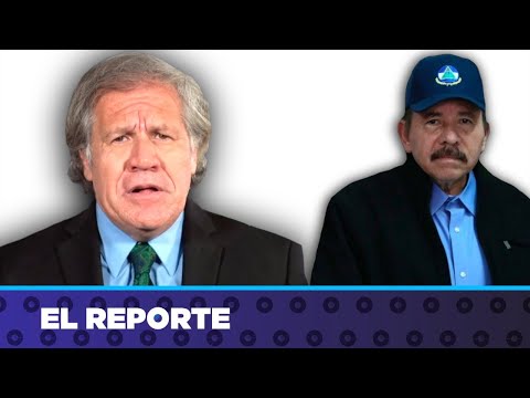 Más de 90 organizaciones opositoras demandan a OEA mayor presión sobre Ortega