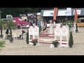 Show jumping horse merrie Contendro x Kannan